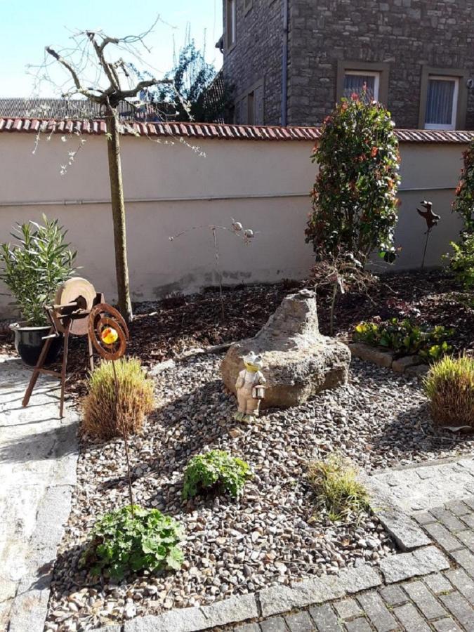 Ferienwohnung - Zimmervermietung Ringelmann Dettelbach Εξωτερικό φωτογραφία