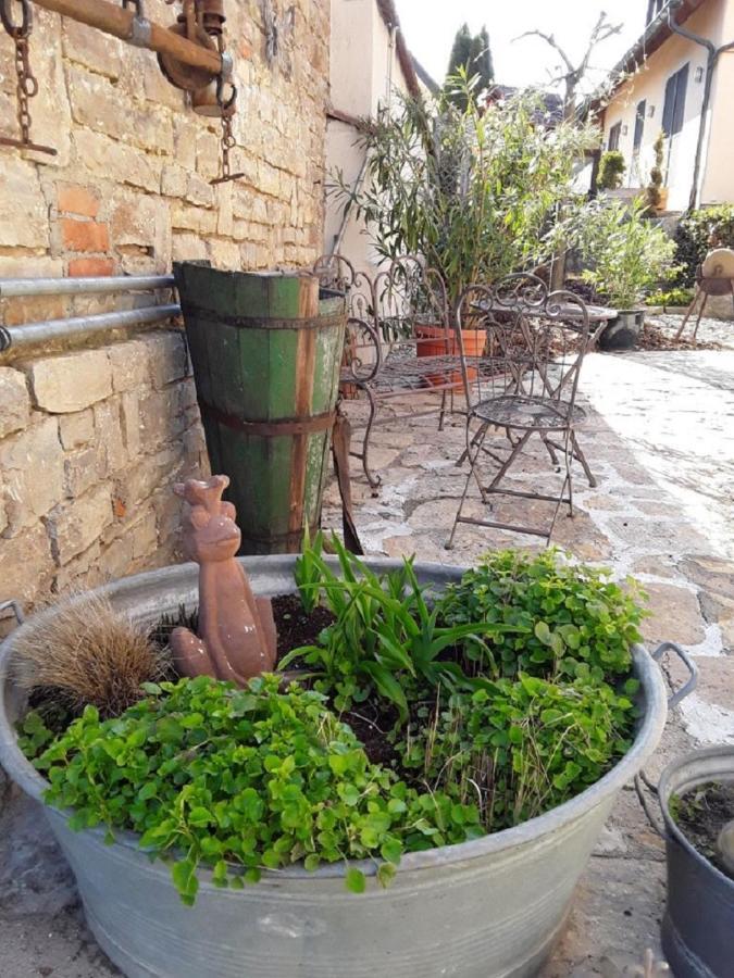 Ferienwohnung - Zimmervermietung Ringelmann Dettelbach Εξωτερικό φωτογραφία